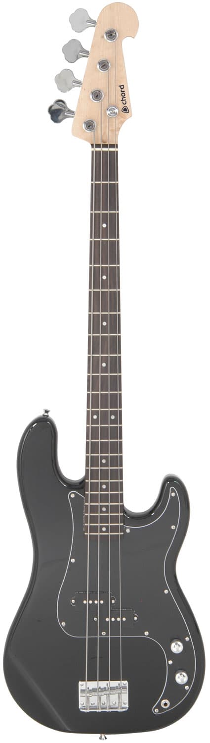 Electric Bass Guitar