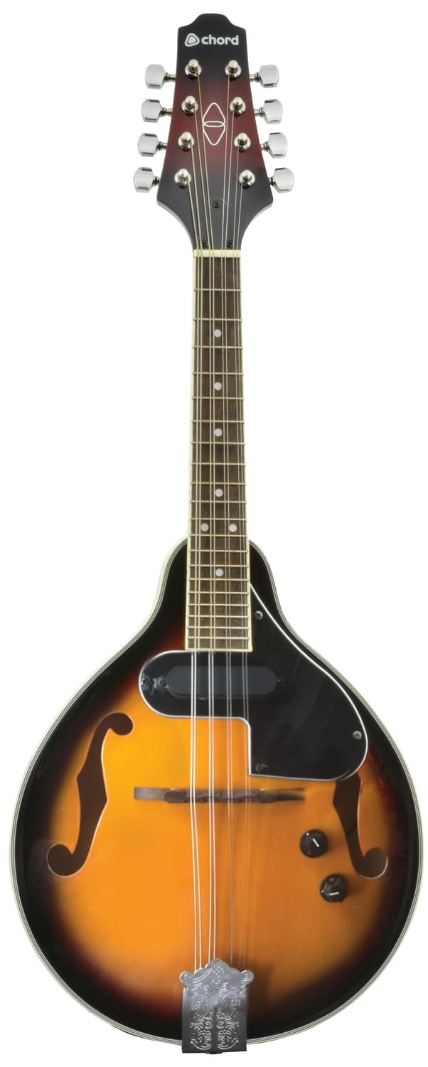 Electric Mandolin