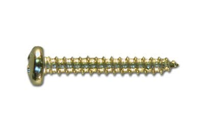RIC SCREW TAP 4 X 3/4 PAN PH