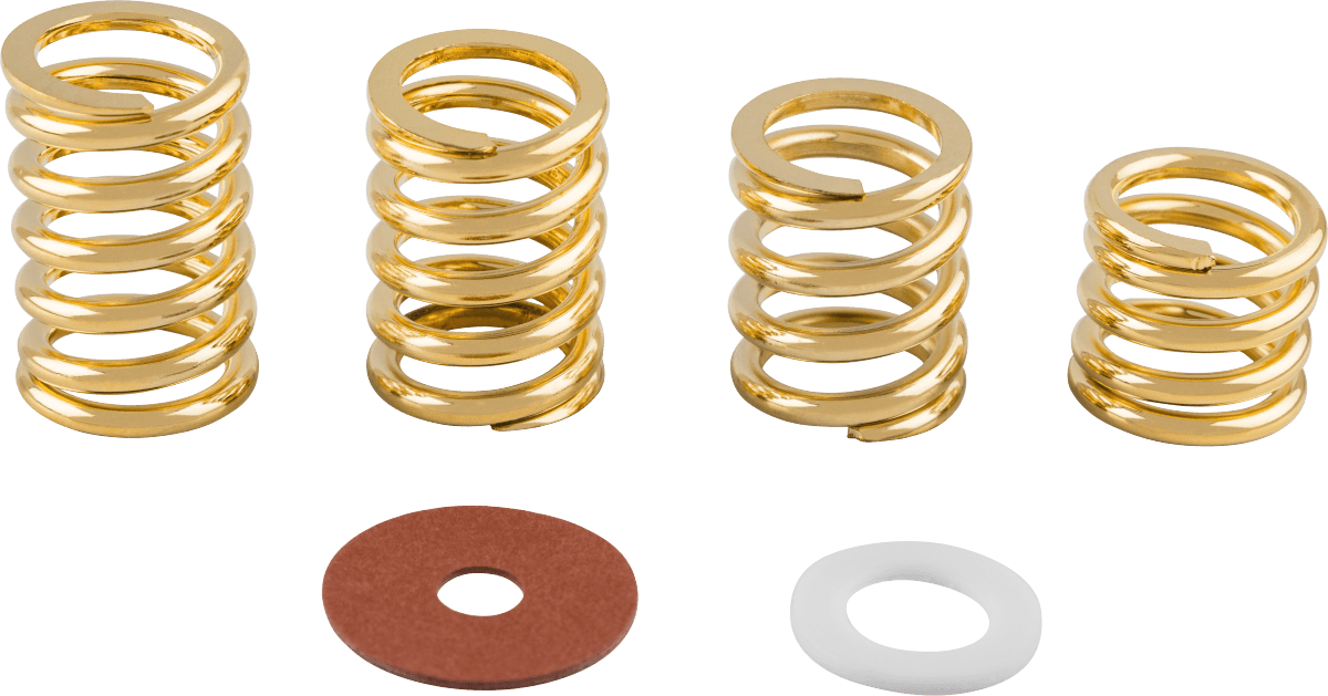 BIGSBY SPRING & WASHER PACK GLD