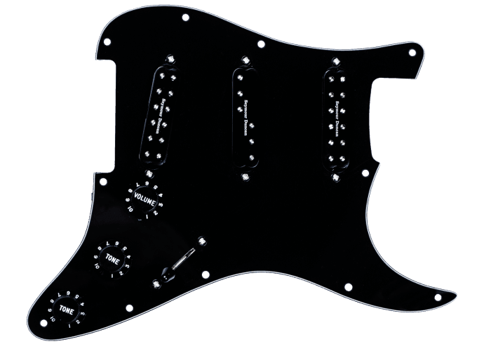^PICKGUARD ASSY EVERYTHING AXE BLACK