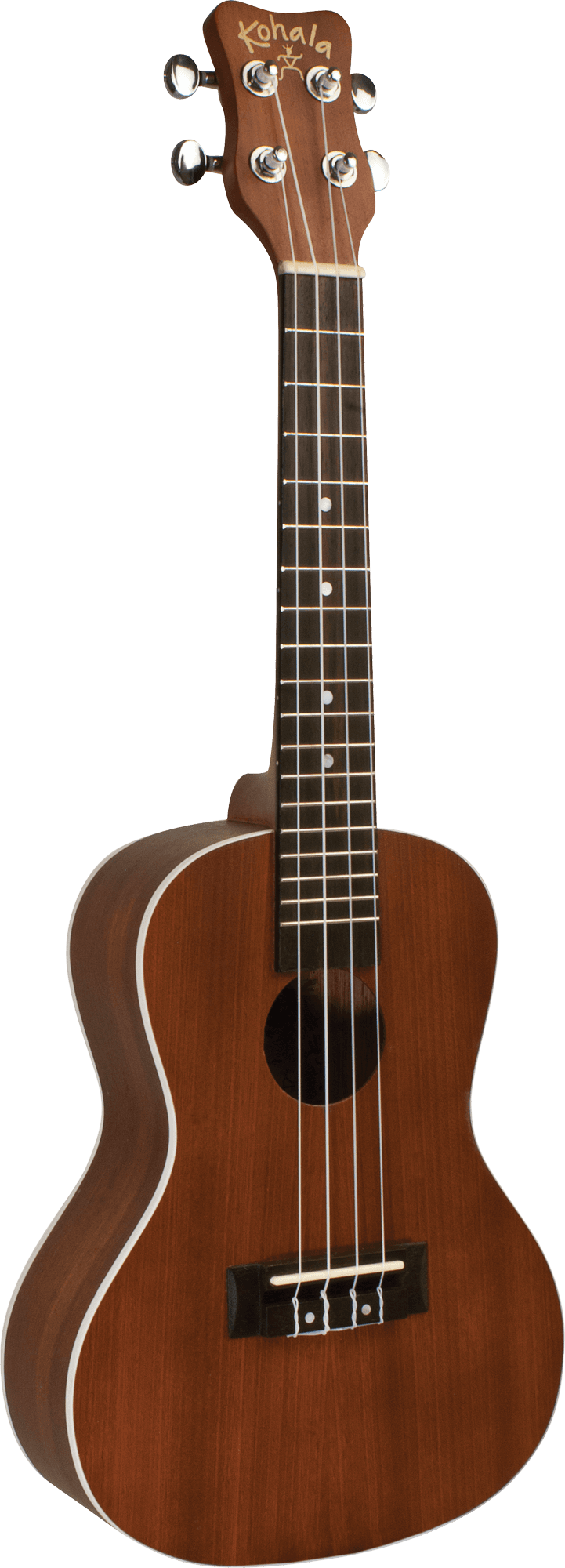 KOHALA CONCERT UKULELE AKAMAI SERIES