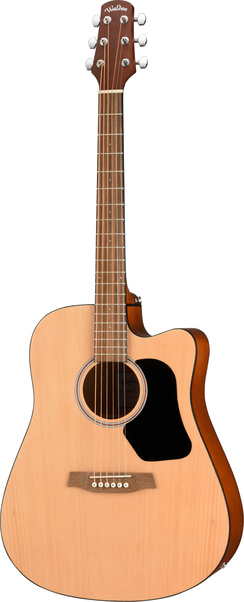 HAWTHORNE 200 DREADNOUGHT CE