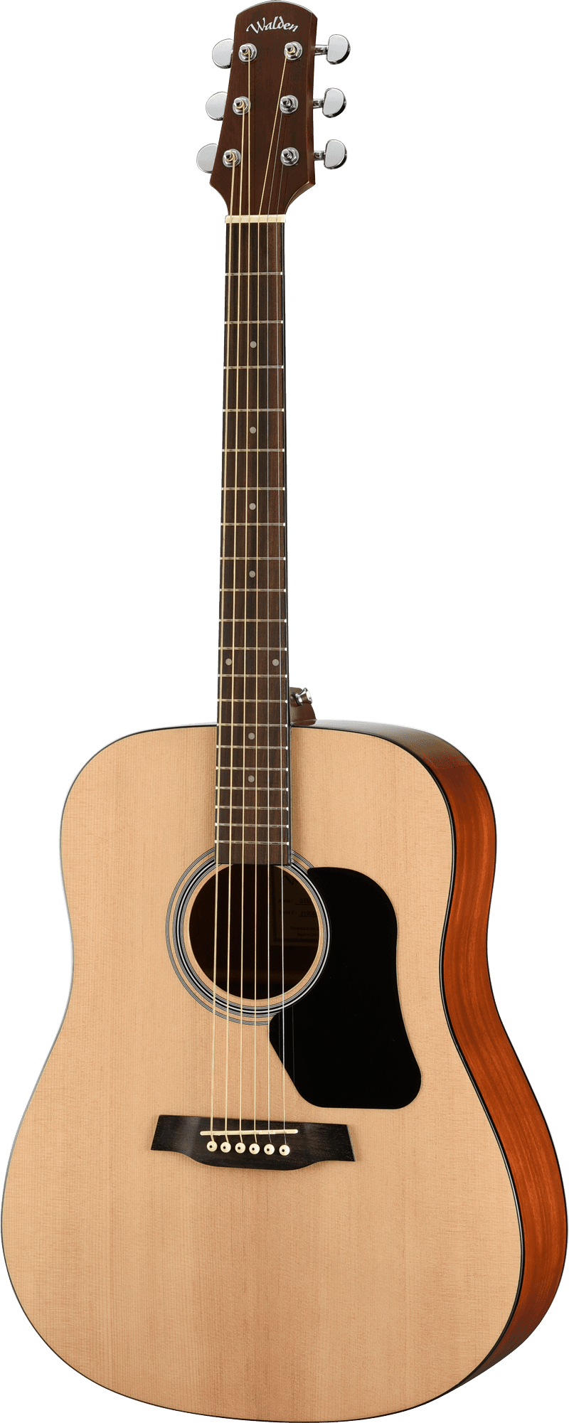 STANDARD 300 DREADNOUGHT W/GB