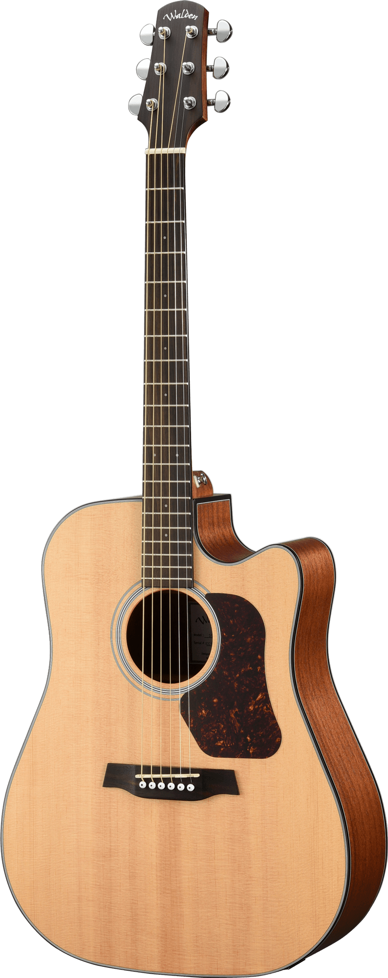 NATURA 500 DREADNOUGHT CE W/GB