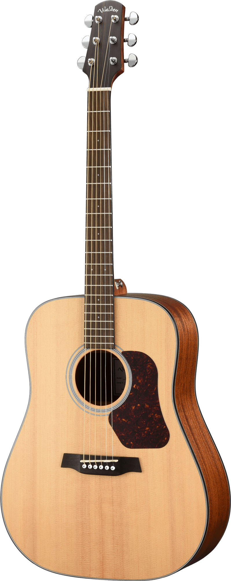 NATURA 500 DREADNOUGHT E W/GB