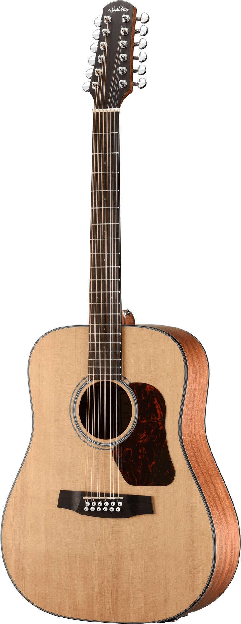 NATURA 500 12 STR DREADNOUGHT E W/GB