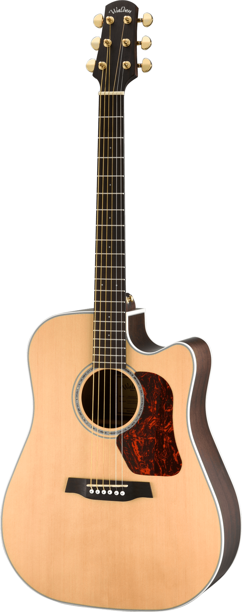 NATURA 600 DREADNOUGHT CE W/GB