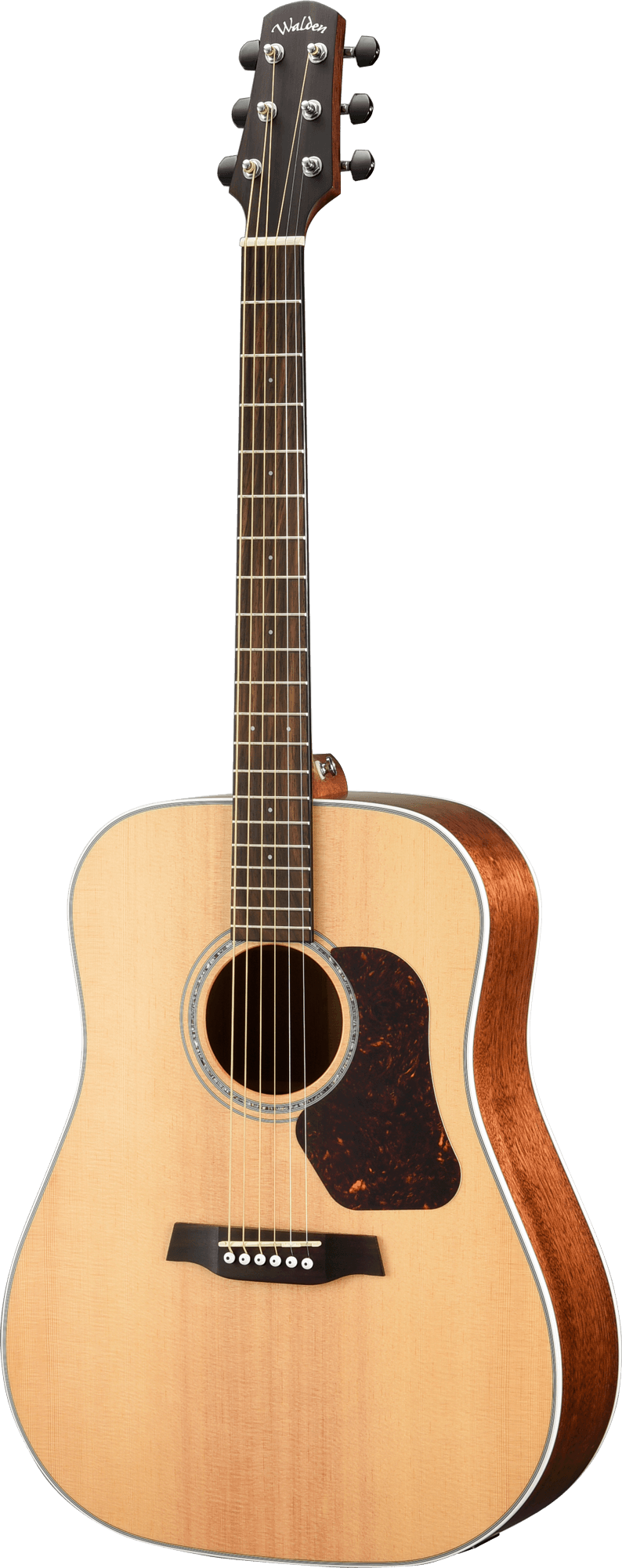 NATURA 700 DREADNOUGHT E W/GB
