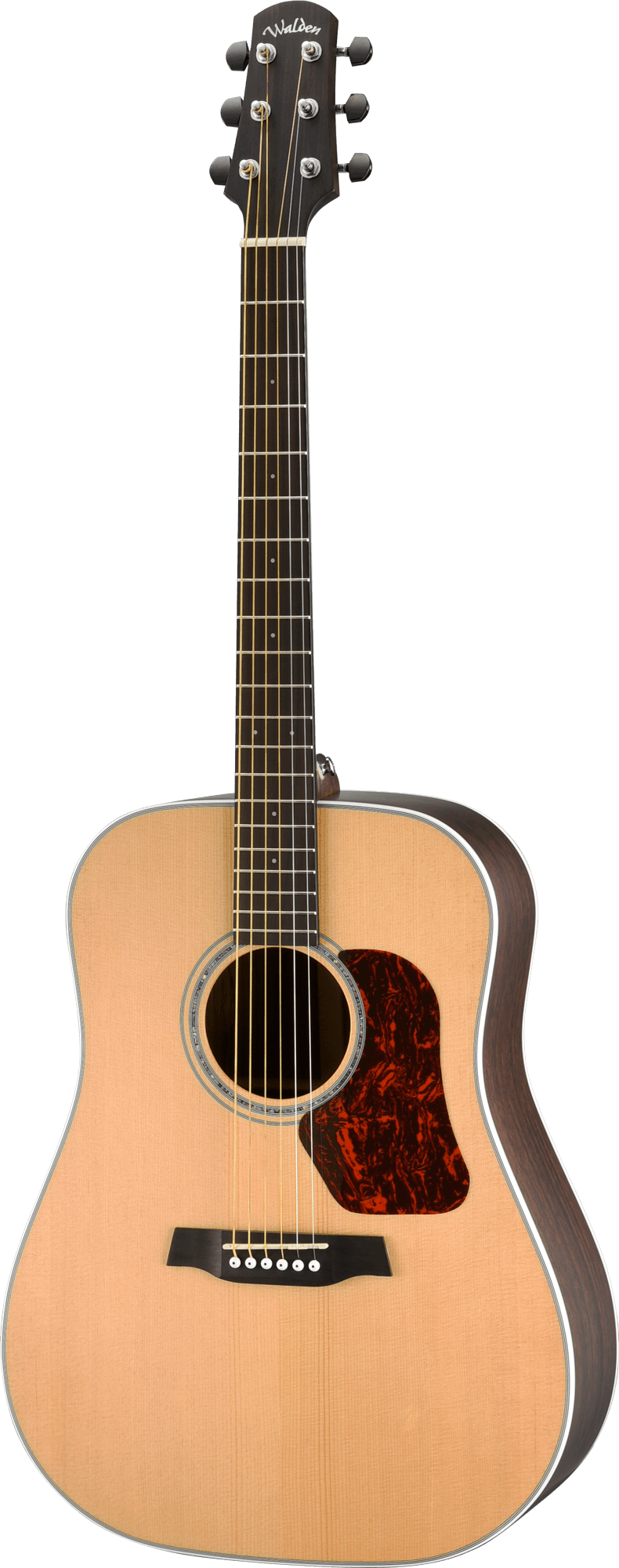 NATURA 800 DREADNOUGHT E W/GB