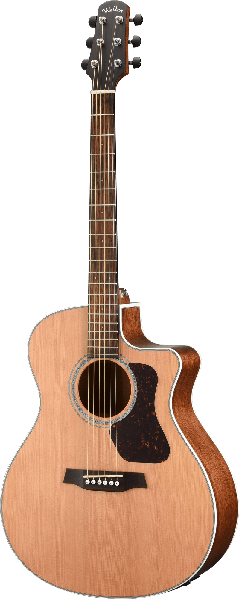 NATURA 700 GRAND AUD. CE W/GB
