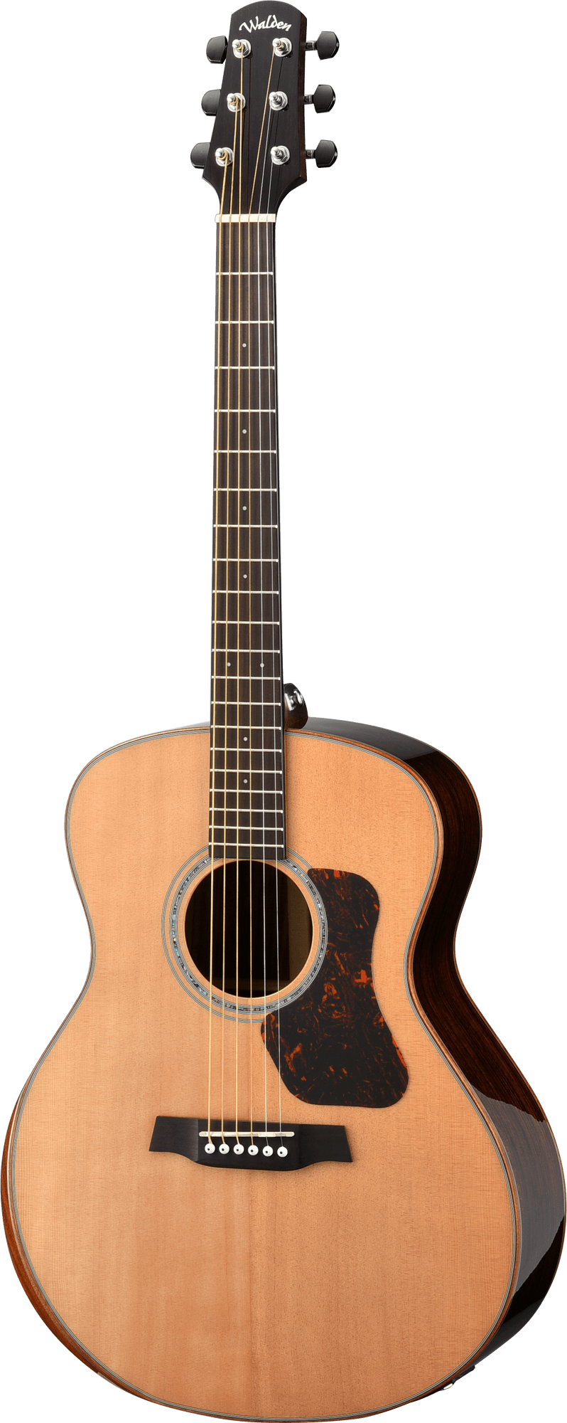 NATURA 700 GRAND AUD. E W/GIGBAG