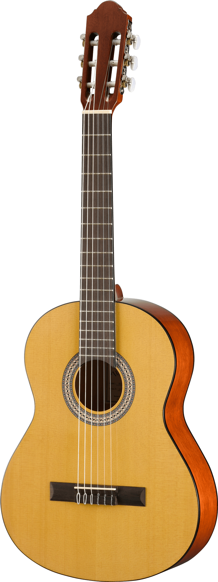 STANDARD 300 3/4 CLASSICAL W/GB