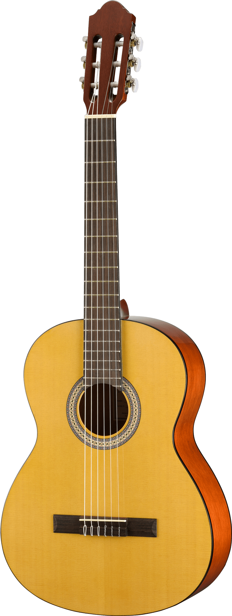 STANDARD 300 CLASSICAL W/GB